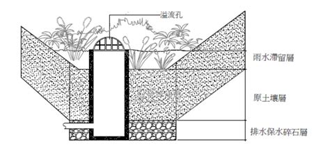 樹穴設計|樹穴結構